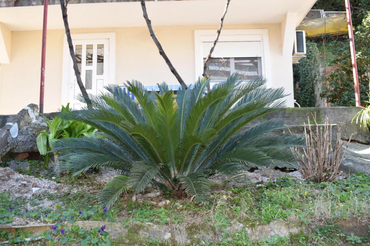 Old Town Studios Budva Exterior photo