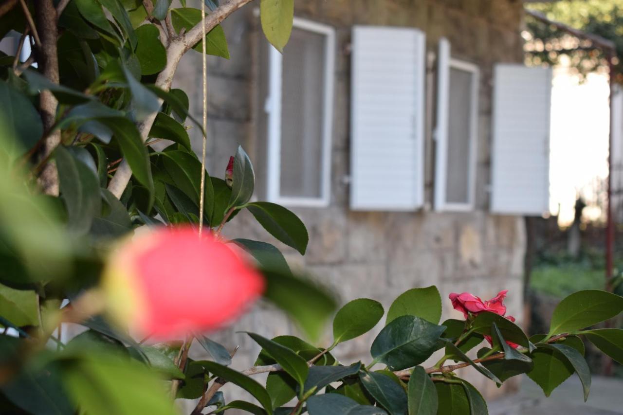 Old Town Studios Budva Exterior photo